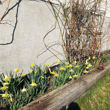 Kastellegarden Skanskullen Kungälv Zewnętrze zdjęcie
